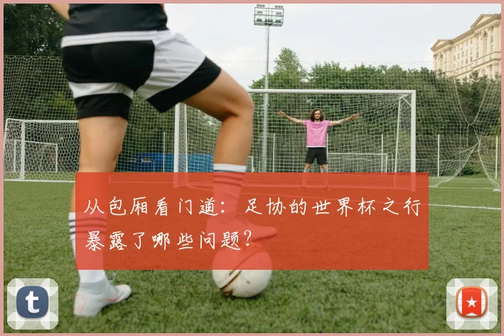 从包厢看门道：足协的世界杯之行暴露了哪些问题？